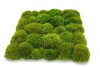Pre-made Pillow Moss / Bun Moss Panel 30x30 cm (12''x12'') Pillow Moss Tile | color - light green