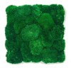 Pre-made Pillow Moss / Bun Moss Panel 30x30 cm (12''x12'') Pillow Moss Tile| color - dark green