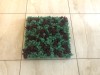 Reindeer Moss 5 kg Wholesale Box - Purified - Turquoise - Norwegian