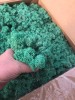 Norwegian Reindeer Moss ( Box 500g Gross ) Color Turquoise