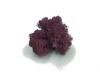 Norwegian Reindeer Moss ( Box 500g Gross ) Color Purple