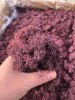 Norwegian Reindeer Moss ( Box 500g Gross ) Color Purple