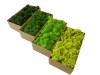 Preserved Swedish Reindeer Moss ''Cladonia Stellaris'' Color Light Green