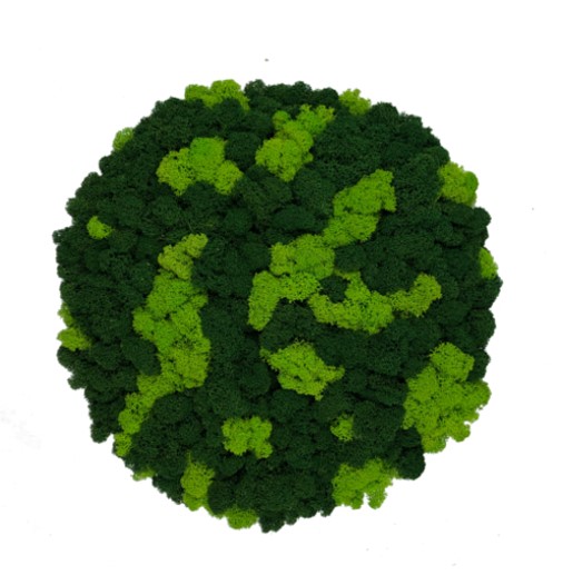 Spring Green Reindeer Moss