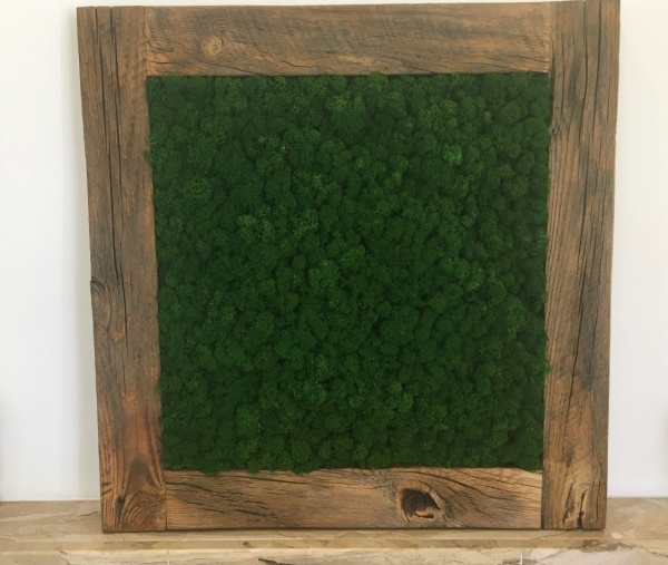 Moss Wall Art, Wood Frame, Moss Art Work, Moss Art, Preserved Moss Art. -   Norway