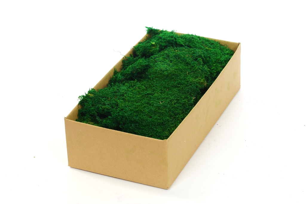 Flat Moss Small Box Preserved Flat Moss -  Singapore