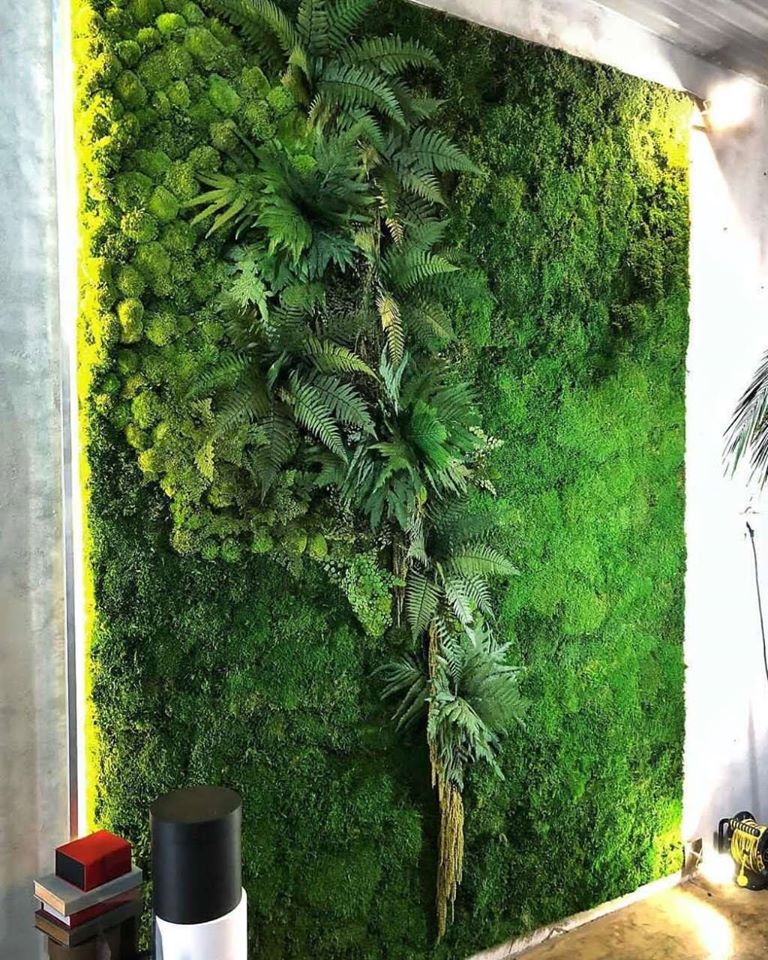 Flat Forest Moss at competitive prices. preservedmoss.co.uk