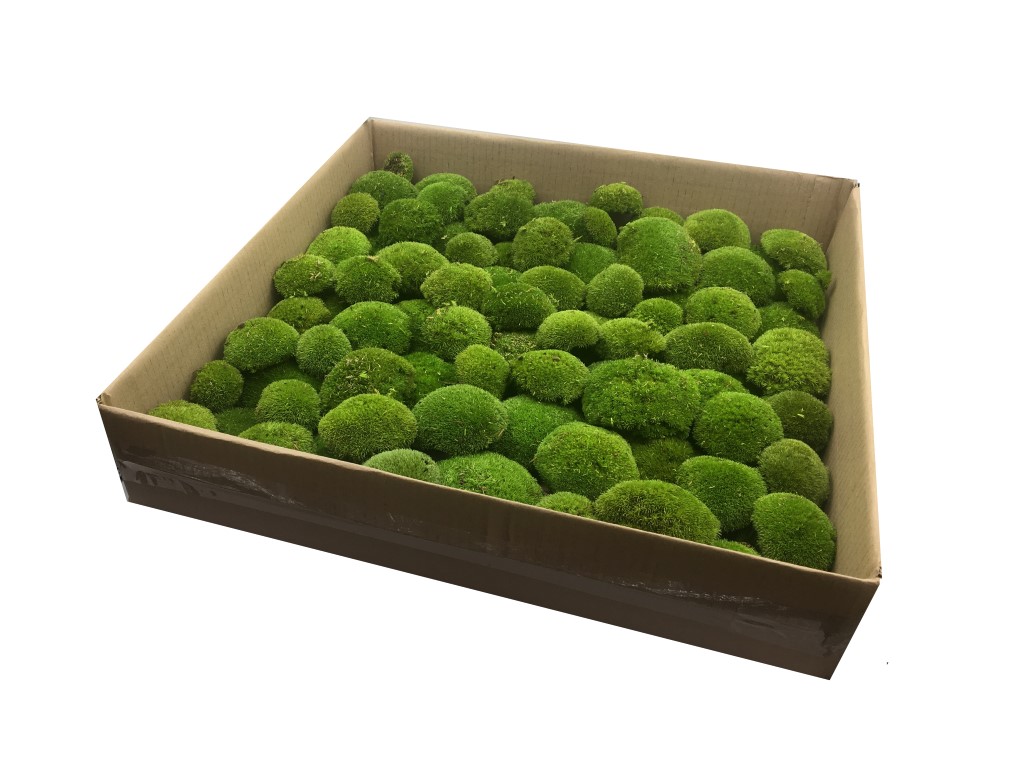 SuperMoss Moss Ball - 4 inch, Green