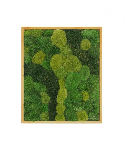 Moss Wall Art, Presetved Moss Paintings. preservedmoss.co.uk